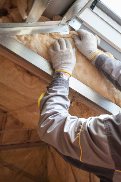 Best Blown-In Insulation  in Ada, OH