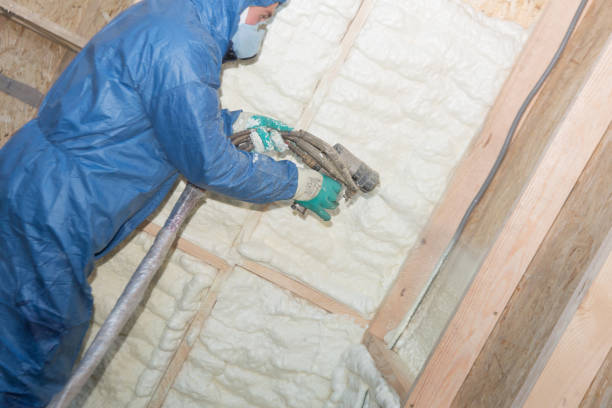 Best Eco-Friendly or Green Insulation Solutions  in Ada, OH